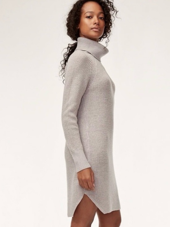 Aritzia Dresses & Skirts - Aritzia Bianca 100% Wool Light Gray Turtleneck Sweater Dress